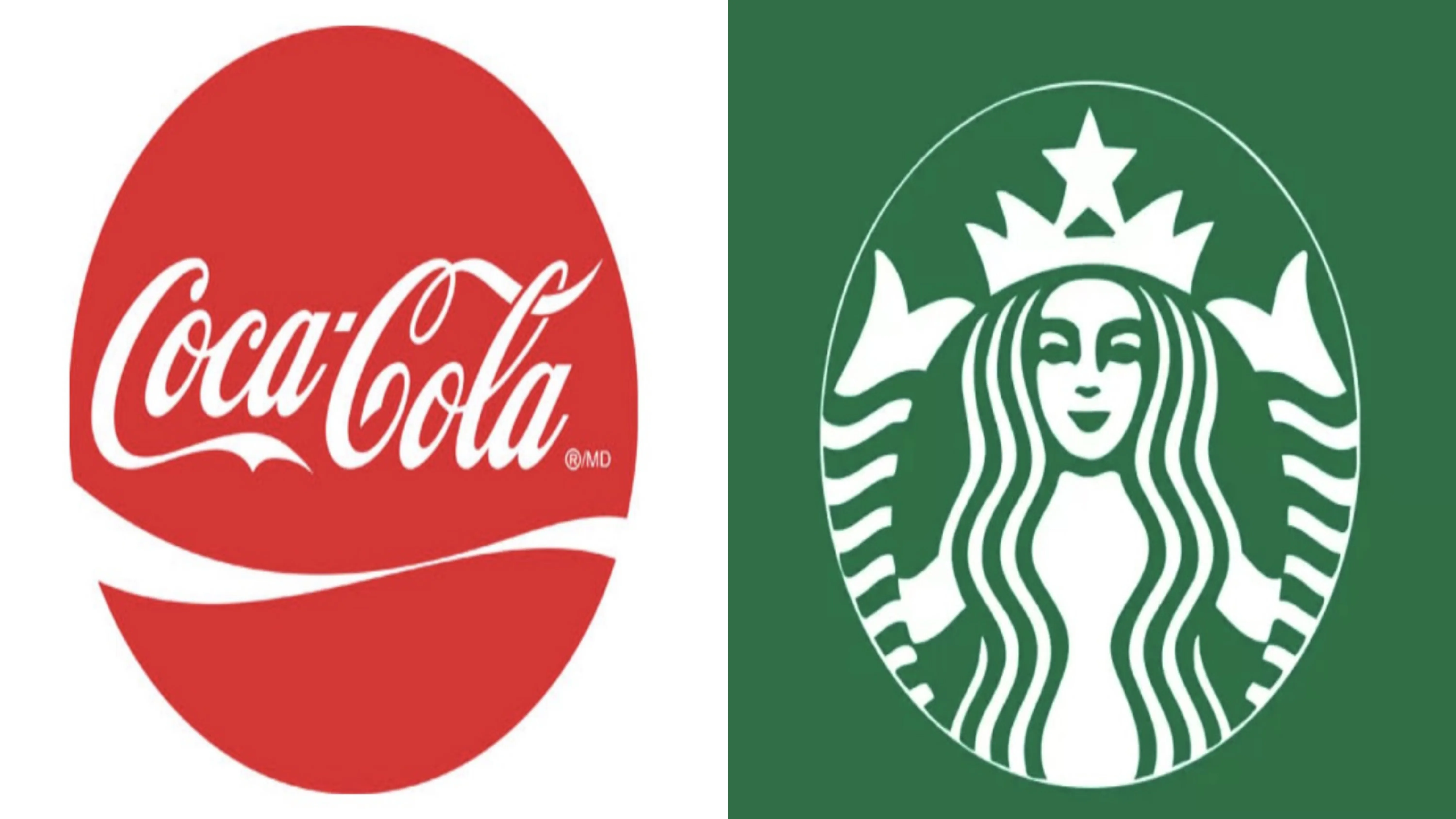 AI 기술주 흔들리자 '필수소비재' 뜬다... 코카콜라·스타벅스, 안전 피난처로 급부상