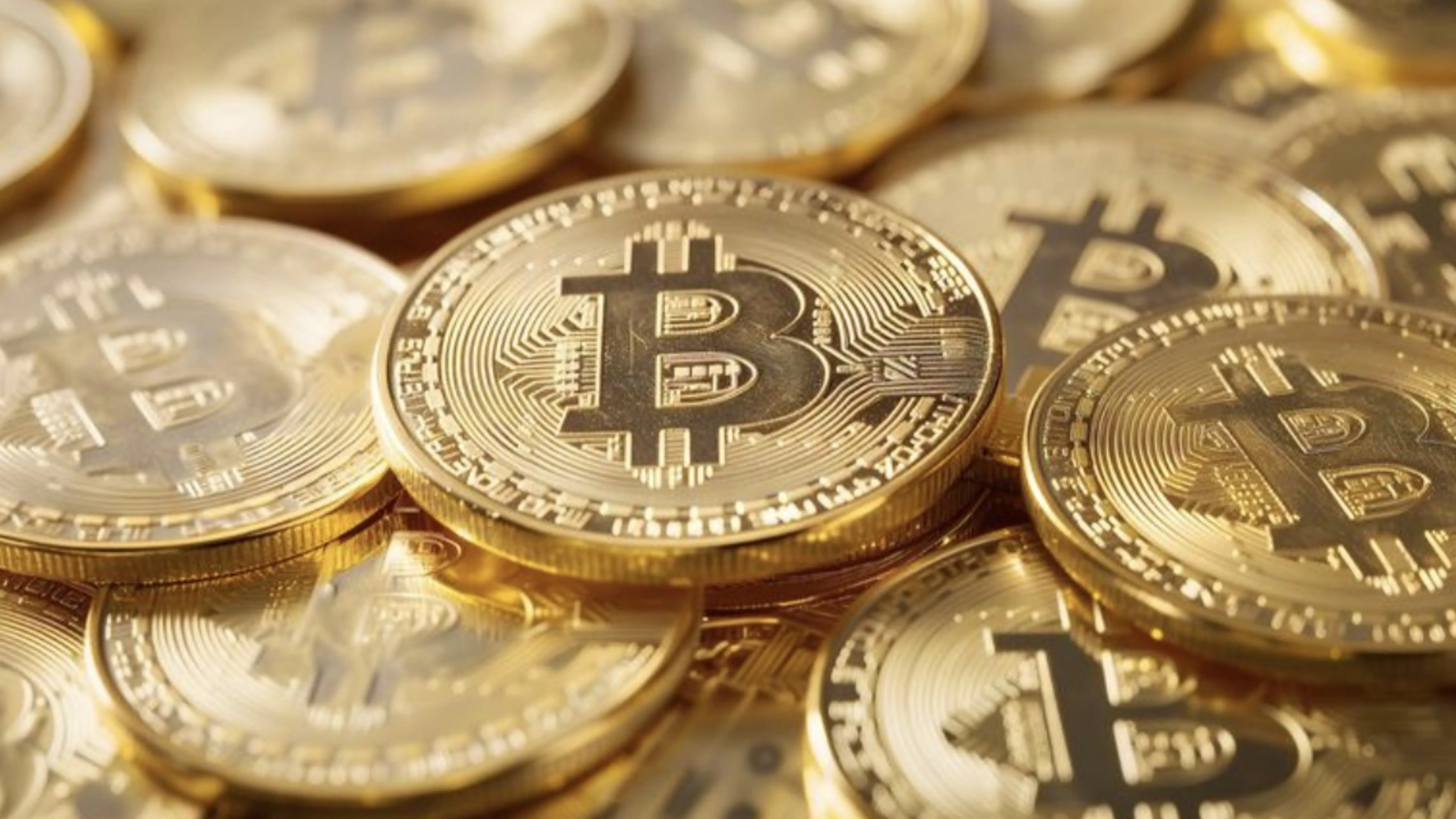 비트코인 8만 달러 턱걸이... '전통 금융 vs 암호화폐' 수익률 전쟁 점화