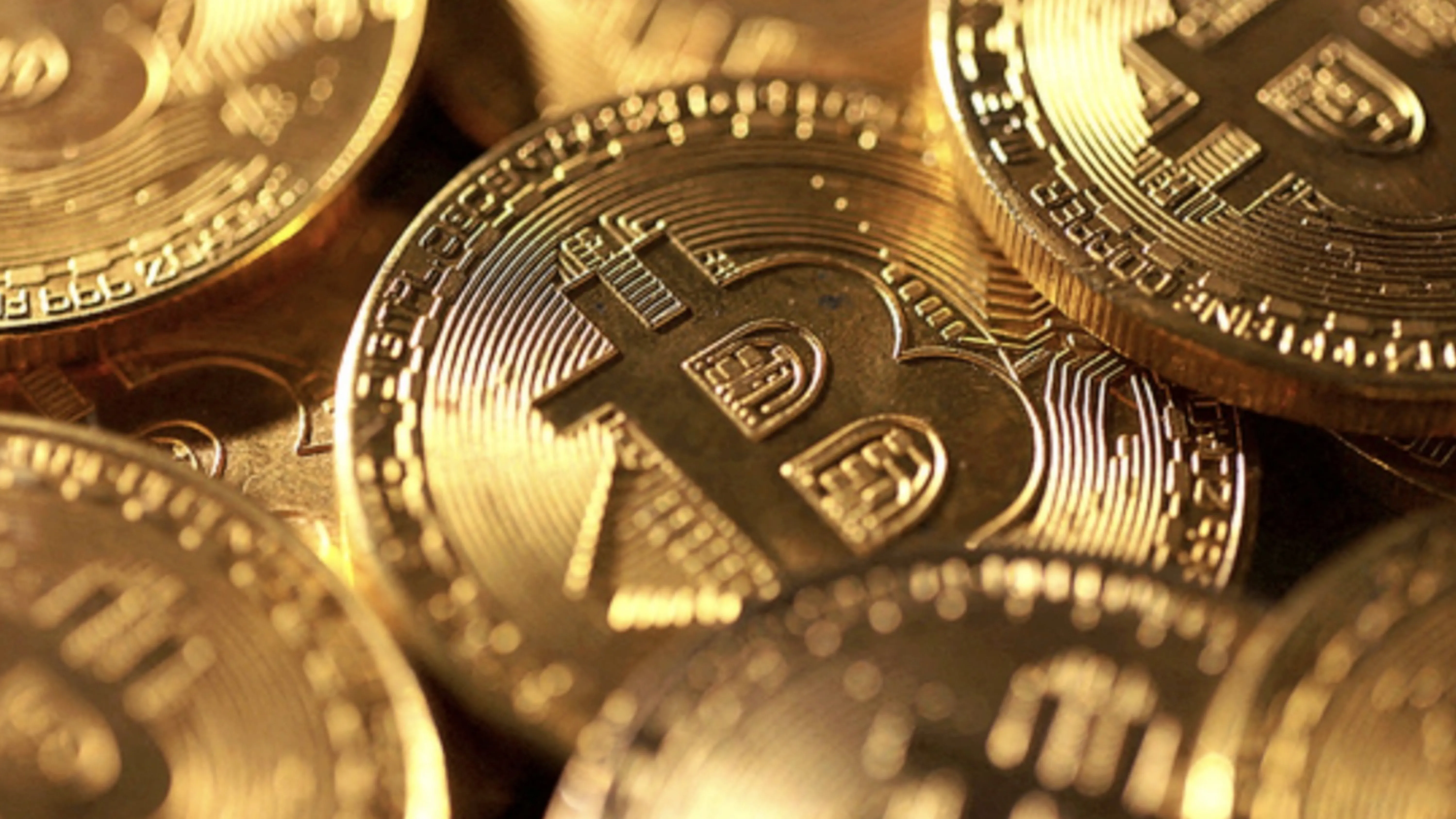 "지옥 가다 멈췄다"... 비트코인 67K 방어에 개미들 '안도의 한숨'