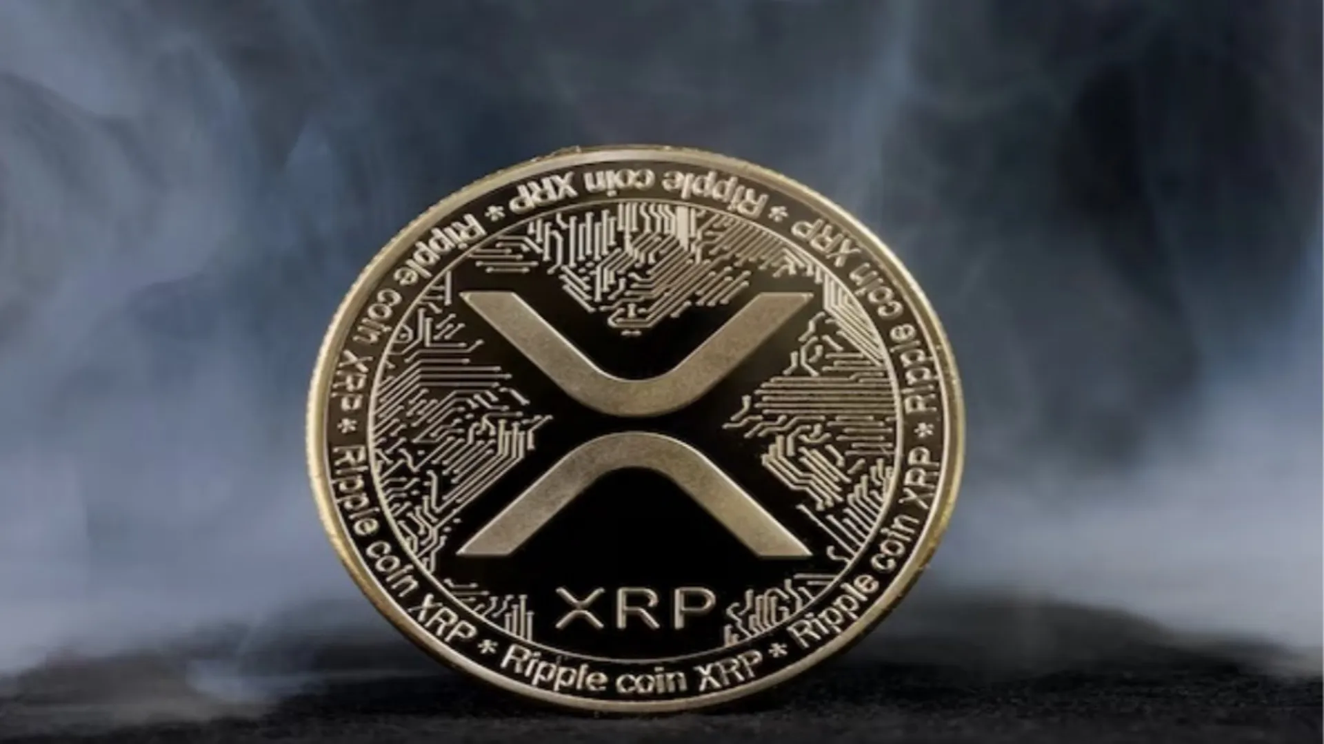 "XRP는 설계부터 잘못됐다" 아르카 CIO가 던진 경고